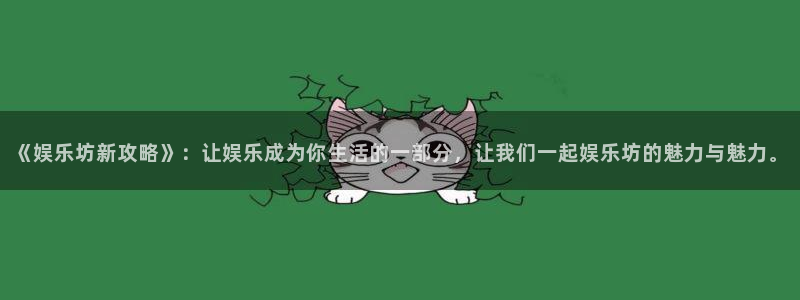 焦点娱乐版本q